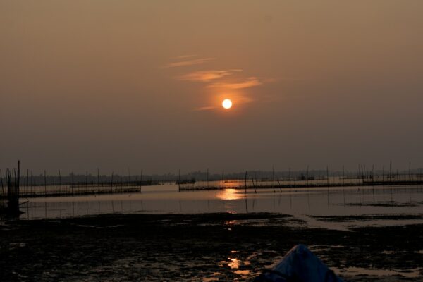 Day : 4 Chilika lake at Satapada