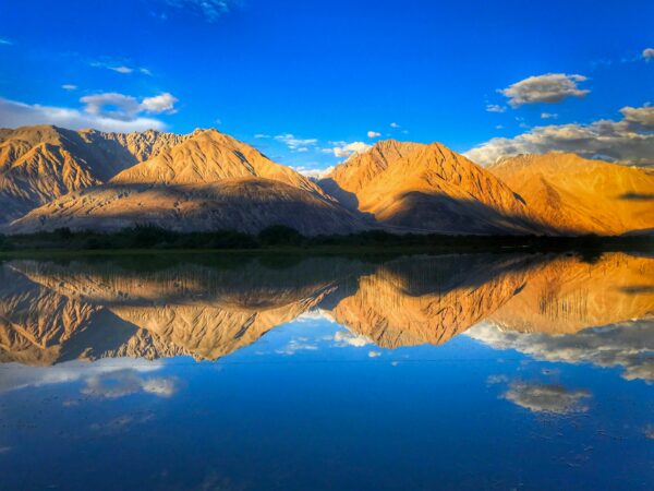 Day 3 Pangong : Sightseeing