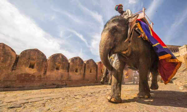 Day 7 : Jaisalmer Departure