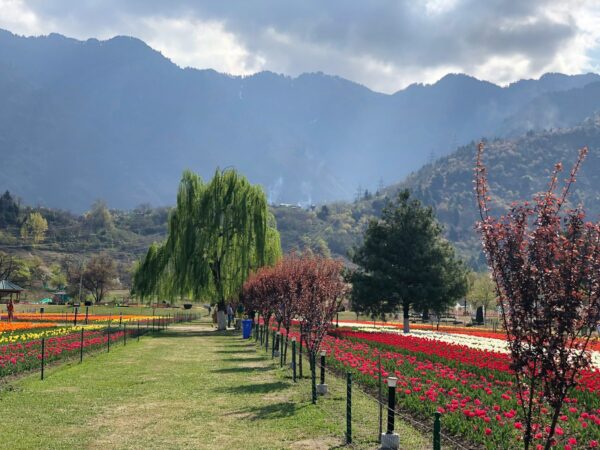 Day 4 : Pahalgam