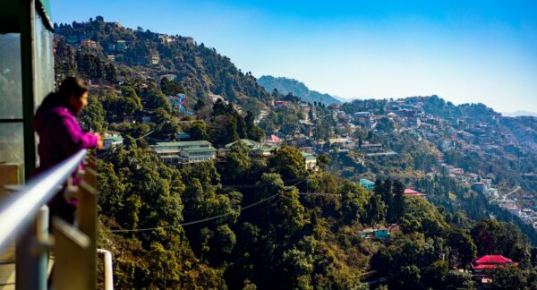 Day 3 : Mussoorie – Dhanaulti – Mussoorie