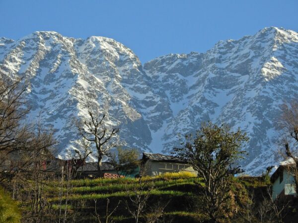 Day 8 : Dharamshala – Dalhousie