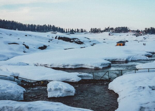 Day 3 : Srinagar – Gulmarg – Srinagar (56 kms)