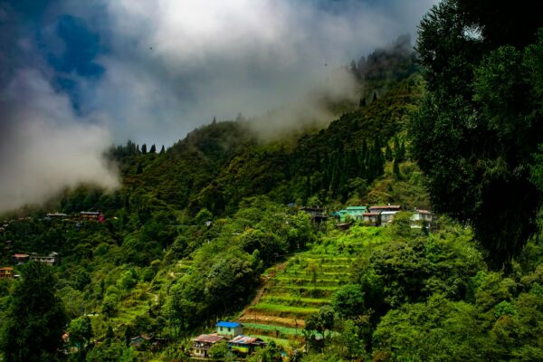 Day 5 : Excursion to Tsomgo Lake & Baba Mandir