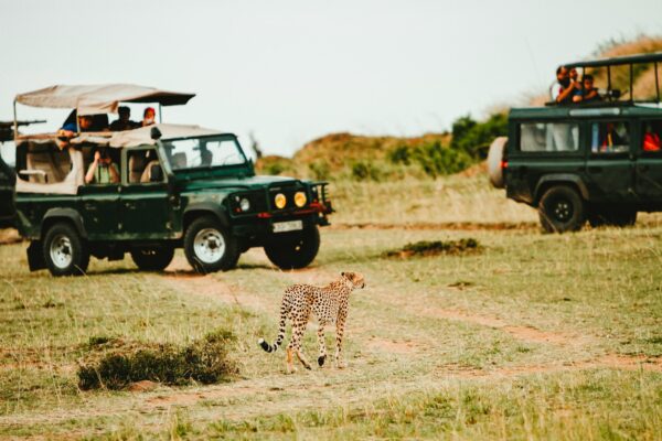  Day 02 : Jim Corbett - Jeep Safari - Sightseeing