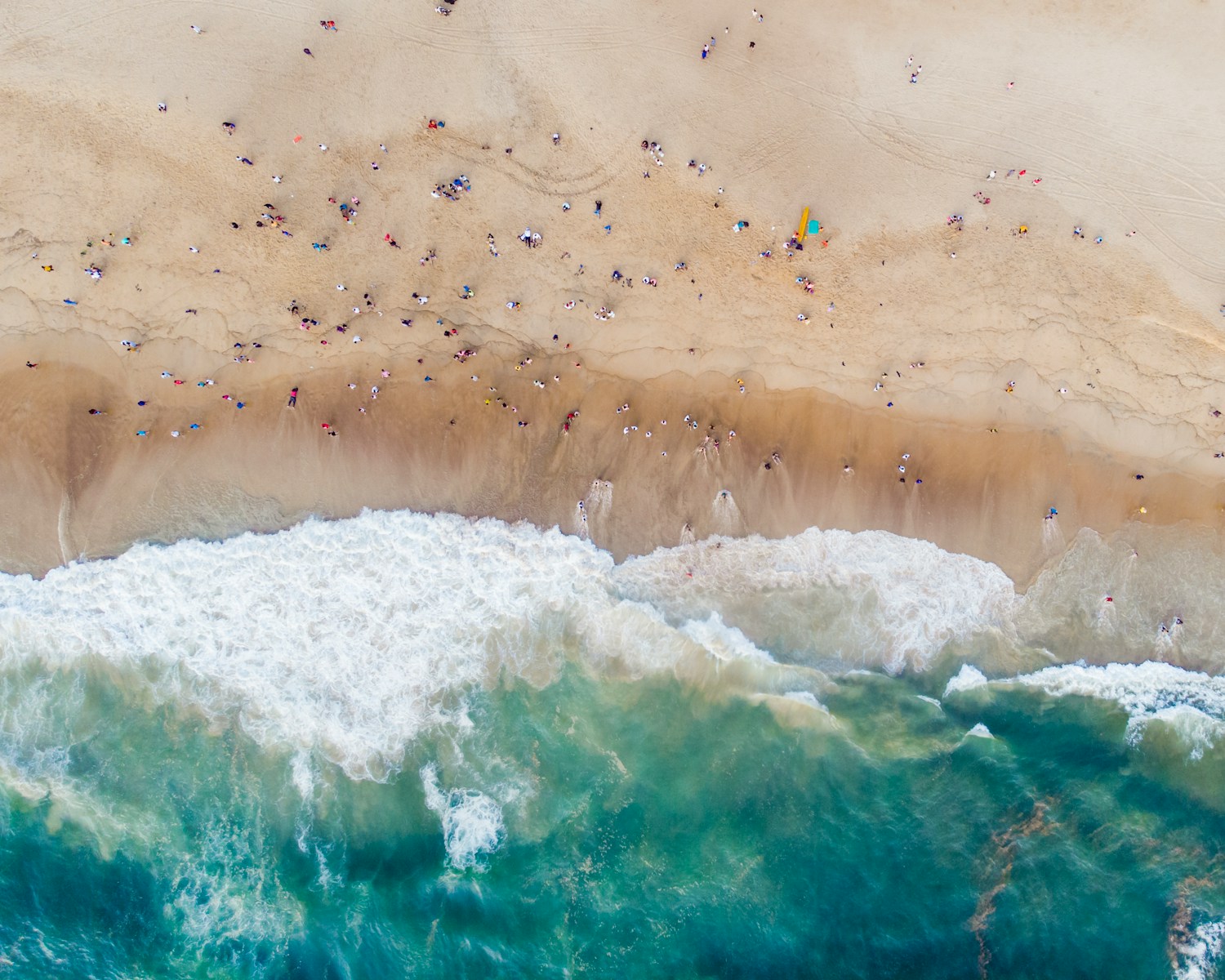 people on beach during daytime