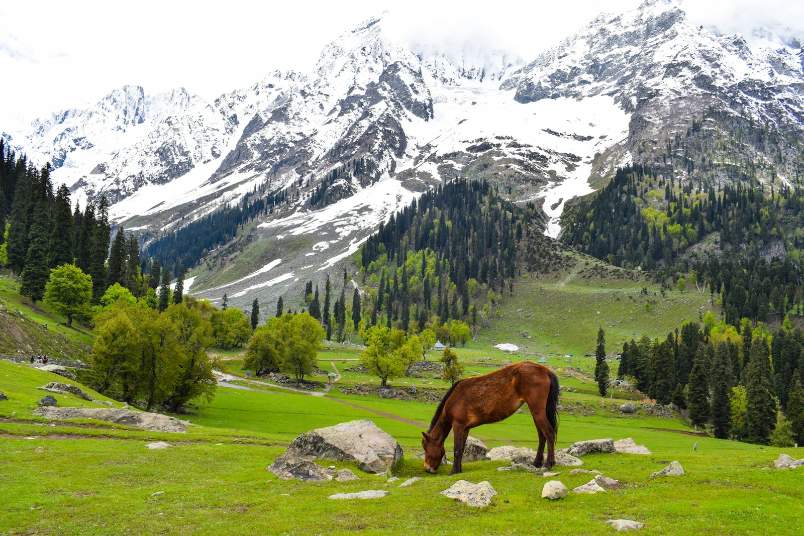 Jammu Kashmir